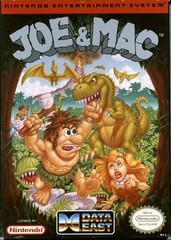 Joe and Mac NES