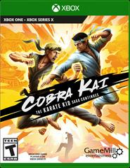 Cobra Kai: The Karate Kid Saga Continues Xbox One
