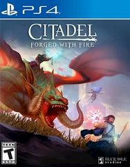 Citadel: Forged with Fire (Playstation 4)