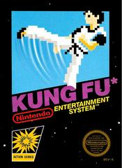 Kung Fu NES