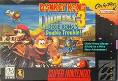 Donkey Kong Country 3 (Super Nintendo)