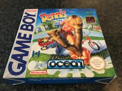 Dennis the Menace (PAL GameBoy)