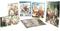 Atelier Escha & Logy: Alchemists of the Dusk Sky (Playstation 3)